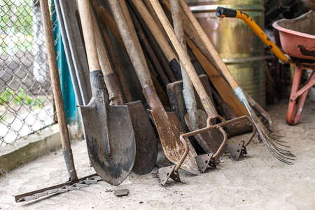 old shovels rakes Tool for working in the garden