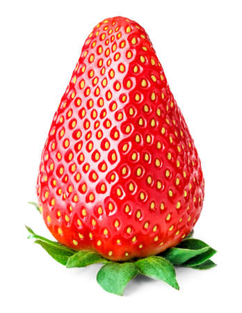 Red berry strawberry isolated on white backgroundの写真素材
