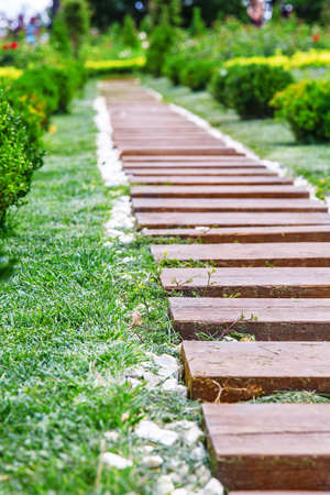park path sunny day outside