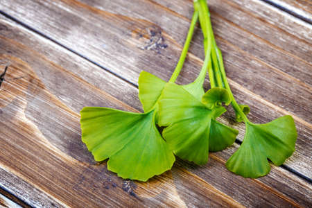 Ginkgo biloba on a wooden background