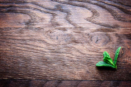 mint leaf on a wooden background texture