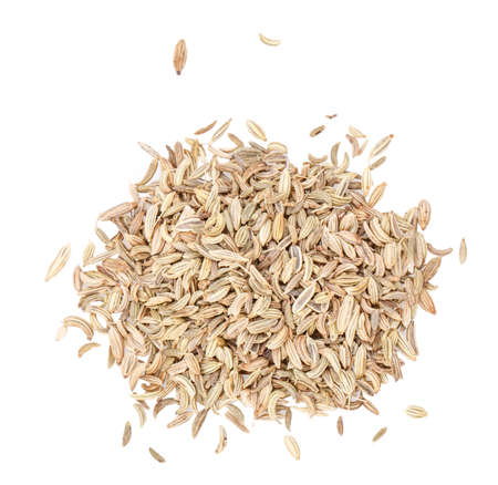 fennel seeds isolated on white backgroundの写真素材