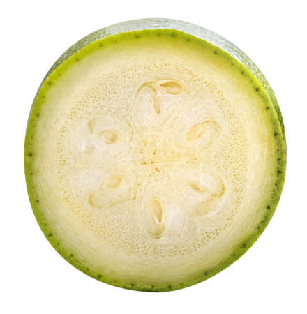 vegetable marrow  squash zucchiniの写真素材