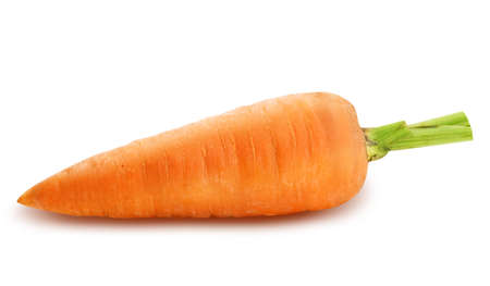 One ripe carrot isolated on white backgroundの写真素材