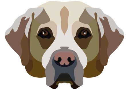 The face of a Labrador. Vector portrait of a dog head isolated on white background.のイラスト素材