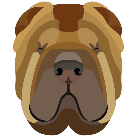 sharpei face. Vector portrait of a dog head isolated on white background.のイラスト素材