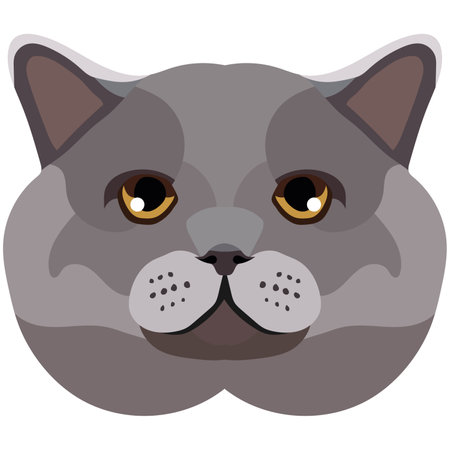 The face of a British cat. Vector portrait of a cat's head on a white background. The muzzle of an animal of the feline genus.のイラスト素材