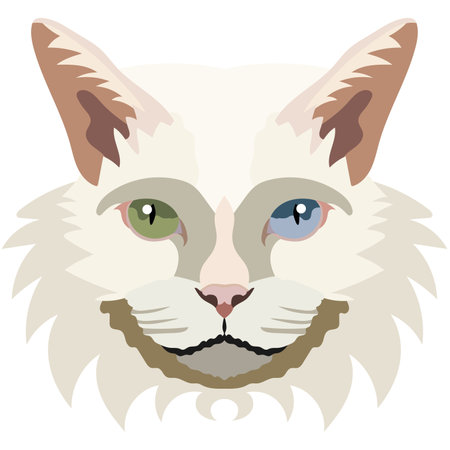 The face of the khao manee cat. Vector portrait of a cat's head on a white background. The muzzle of an animal of the feline genus.のイラスト素材