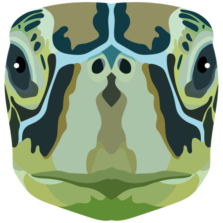 The head of a sea turtle. Bright Portrait is depicted on a white background. vector graphics. animal logoのイラスト素材