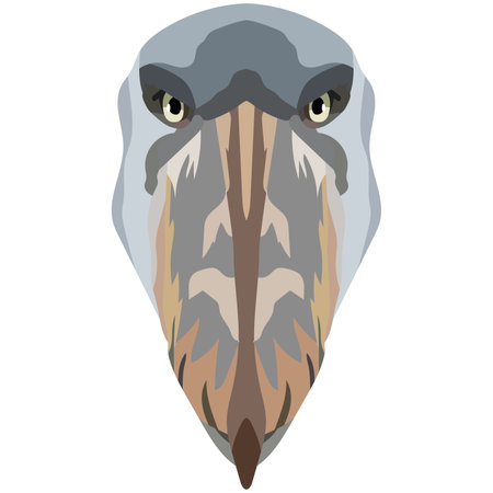 head of a shoebill. An illustration of the face of a large bird is depicted. A bright portrait is depicted on a white background. vector graphics. animal logoのイラスト素材