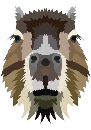 The face of a capybara. An illustration of the muzzle of a large rodent is depicted. Bright portrait on a white background. vector graphics. animal logo.のイラスト素材