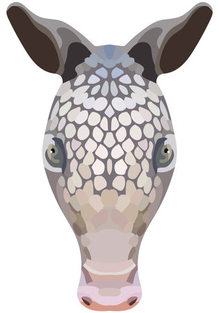 Armadillo face. Shown is an illustration of the snout of Cingulata. Bright portrait on a white background. vector graphics. animal logo.のイラスト素材