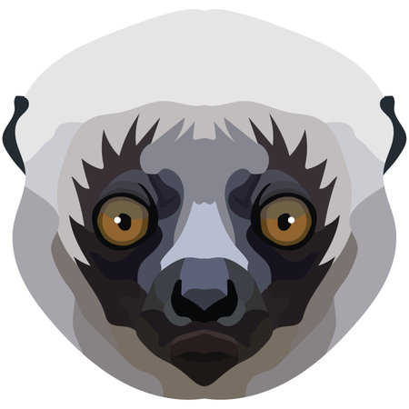 sifaka face. The muzzle of a cute Madagascar mammal is depicted. Bright portrait on a white background. predictive graphics. animal logo.のイラスト素材