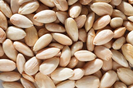 Blached almonds