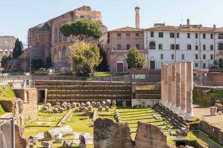 The Roman Forum (Forum Romanum or Foro Romano). No people. Rome, Italyの写真素材