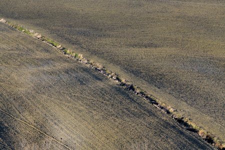 Landscape near Bologna: agricultural fields, arable land in winter. Bologna, Emilia-Romagna, Italy