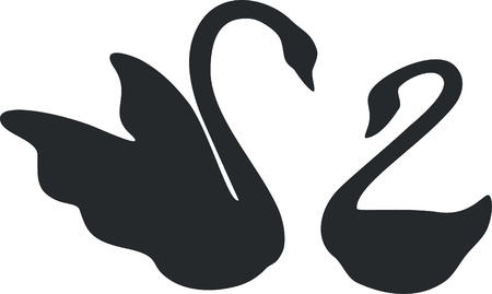 swan couple in black 01のイラスト素材