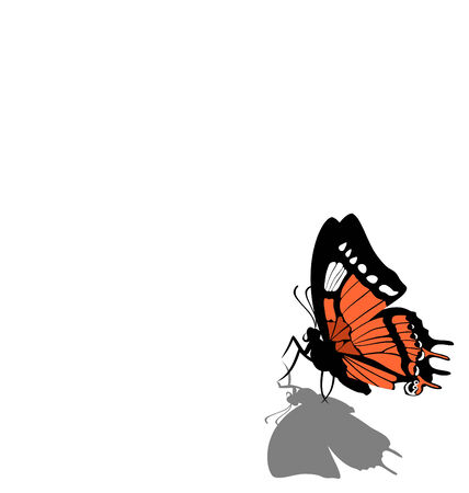 Vector. Butterfly on paper  08のイラスト素材