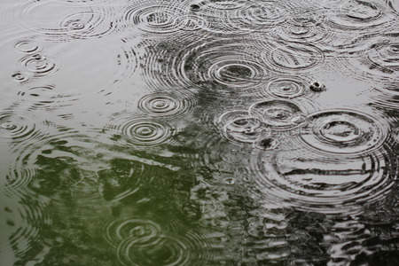 Rain drops rippling background 7737の写真素材