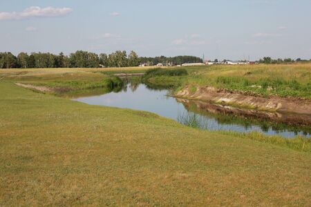 Pond in field near the forest. Beautiful summer landscape 8268