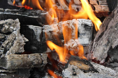 Bright burning fire of pine wood at fireplace 20443
