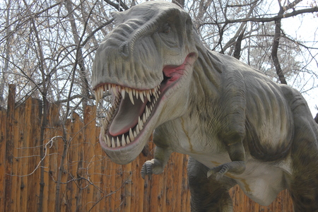 NOVOSIBIRSK, RUSSIA - APR 16: Realistic model of dinosaur  at Dinopark in Zoo on Apr 16, 2016 in Novosibirskのeditorial素材