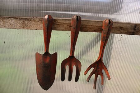 A set of garden tools in the greenhouseの写真素材