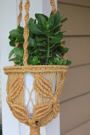 Hanging baskets of flowers at the front porch 8224の写真素材