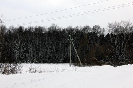 Power lines in winter woods 30002の写真素材