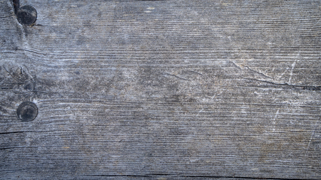 Black white and gray toned tree cut from the woods. Round tree ring pattern with texture and grain. Detailed object on white background. Aged tree surface close-up backdrop templateの写真素材
