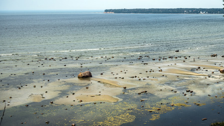 Nature conservation area (Tabasalu Nature Park, Baltic sea). It winds its way along the clifftop...