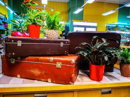 Different flowers in vases for floral workshop in the art studio. Florist. Flower arrangement with old Colorful suitcases in a floral or flower shop. Rural vacation concept. Vintage background.の写真素材