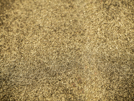 cashmere coat. Gray knitting wool texture background.の写真素材