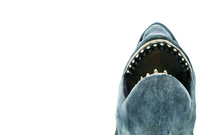 shark has opened a large mouth with fangs on a white background. Empty blank space for your text or imageの写真素材