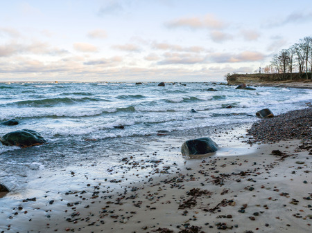 Nature conservation area (Tabasalu Nature Park, Baltic sea). Baltic coastline near Tallin Tabasalu, Estonia. Beach meadows, stones with sea salt adherence and reeds under a partly cloudy skyの写真素材