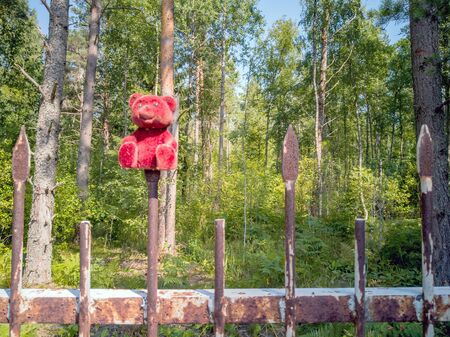Teddy bear sitting on the fence. Old teddy bears toys hanging outside on the fence. Detail of a gift, tragedy. Concept of concept of childhood aggressionの写真素材