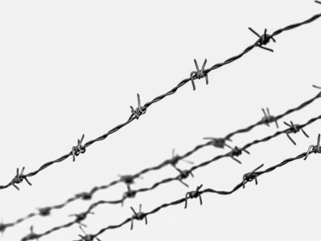 Security Fence In Prison. Lost freedom behind barbed wire. Law. Black  and white photo. Old rusty...