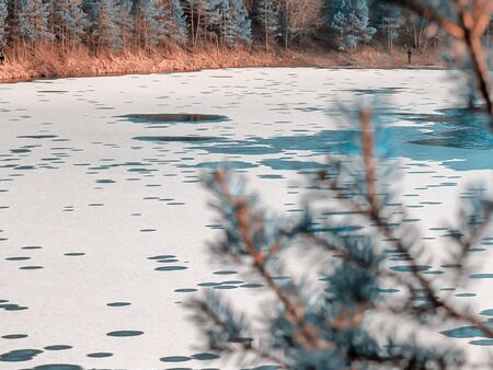 Winter Landscape with water circles and conifers On Beach. frozen lake, snow texture close-up. Abstract shapes. Tallinn, Estonia. Panoramic view. Copy space for text. Image for wallpaper and desktopの写真素材