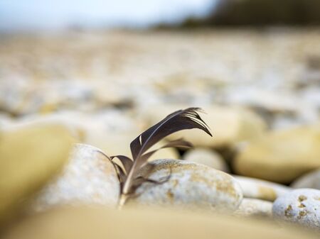 Selective focus. Coast. Spa stones, sea beach. Coast. many Stones on the beach and sea water in sunset light.の写真素材