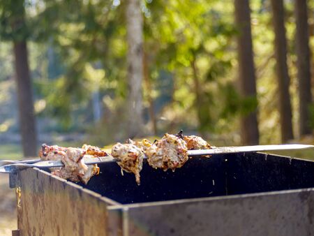 Red hot burning charcoal preparing for grilling, barbecue grill, BBQ. Forest on the background. Waiting for the placement of your food. Close up. vacation conceptの写真素材