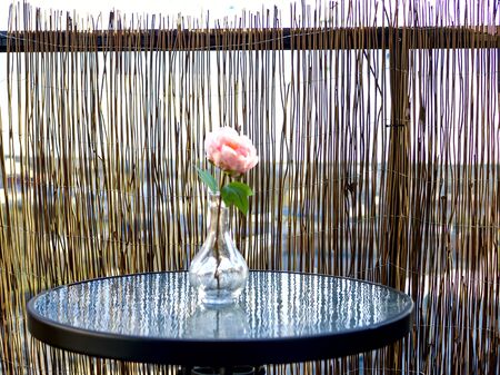 Pink rose in a vase on the Round table on the balcony in the apartment. close up and copy spaceの写真素材