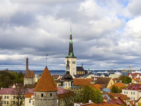 Red roofs of houses in old Tallinn. Summer morning city and an interesting walk in the historical part of city view from observation platform to the Old Talllinnの写真素材
