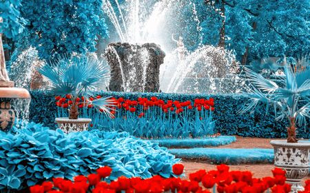 Toned image. Garden flowers. fountains in the background. Colorful Spring Tulips. Panoramic landscape with multicolor spring flowers in park. Nature background. copy spaceの写真素材