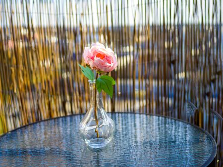 Pink rose in a vase on the Round table on the balcony in the apartment. close up and copy spaceの写真素材