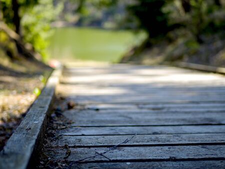 selective focus. wooden boardwalk near the lake surrounded by bare trees. Summer vacation background. Empty wooden pier with green lake in the backgroundの写真素材