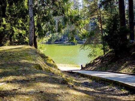 selective focus. wooden boardwalk near the lake surrounded by bare trees. Summer vacation background. Empty wooden pier with green lake in the backgroundの写真素材