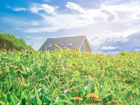 Summer day in garden-green nature background with wild flowers, house and herbs. Vacation on farm. Blooming dandelions on Sunny day against cloudy sky. Beautiful Countryside Landscape. filtered imageの写真素材