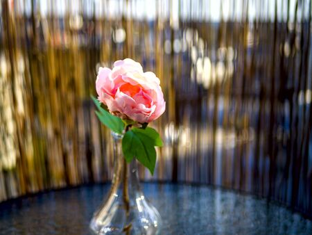 Pink rose in a vase on the Round table on the balcony in the apartment. close up and copy spaceの写真素材