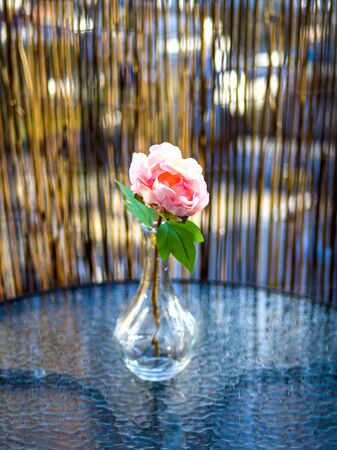 Pink rose in a vase on the Round table on the balcony in the apartment. close up and copy spaceの写真素材