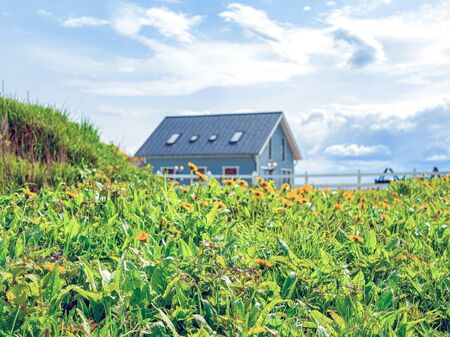 Summer day in garden-green nature background with wild flowers, house and herbs. Vacation on farm. Blooming dandelions on Sunny day against cloudy sky. Beautiful Countryside Landscape. filtered imageの写真素材